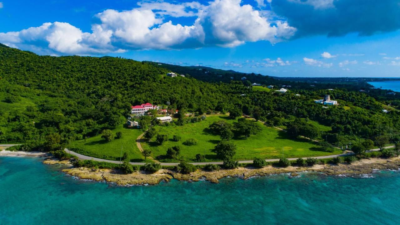 Feather Leaf Inn Frederiksted Екстериор снимка