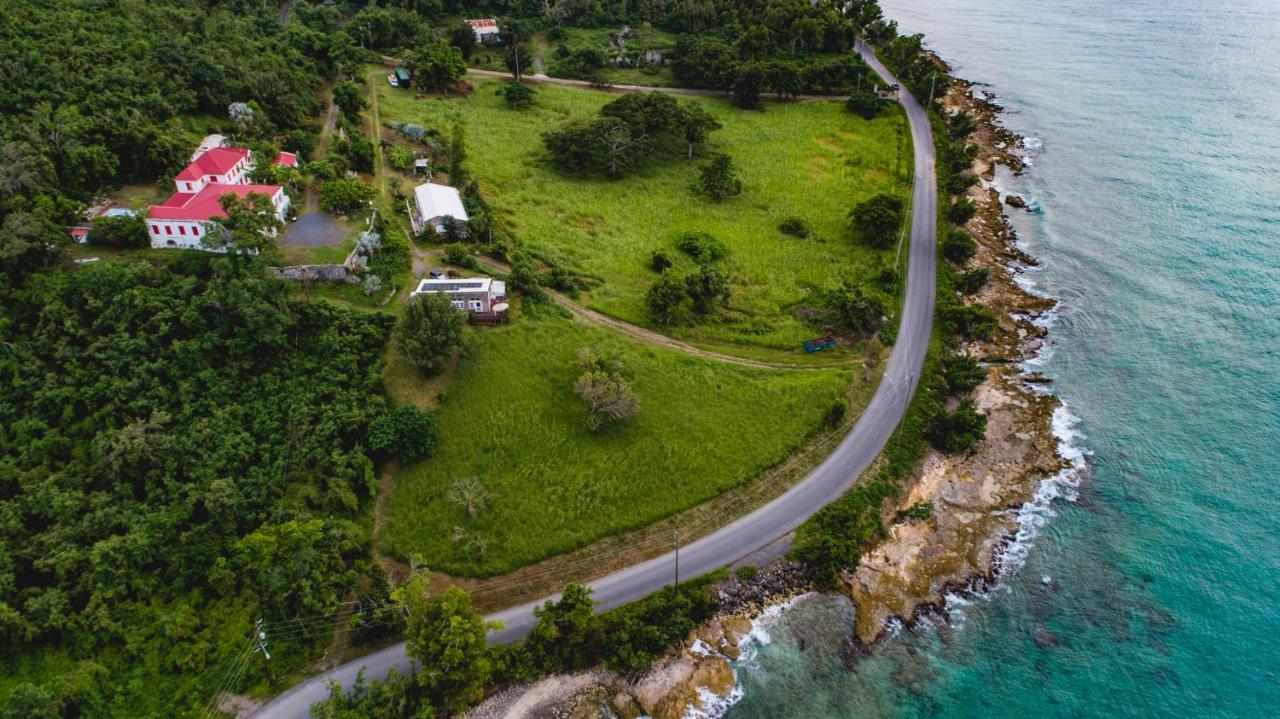 Feather Leaf Inn Frederiksted Екстериор снимка